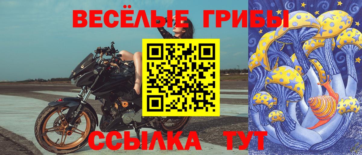 Псилоцибиновые грибы Psilocybine cubensis Фурманов