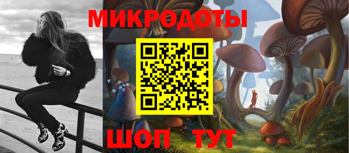 Фурманов  Галлюциногенные грибы Magic Shrooms  Вход с VPN 